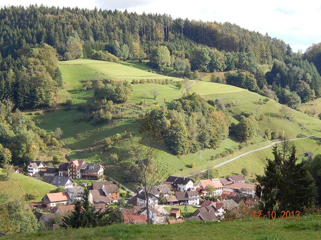 Haus Wiesental Kleines Wiesental Zewnętrze zdjęcie