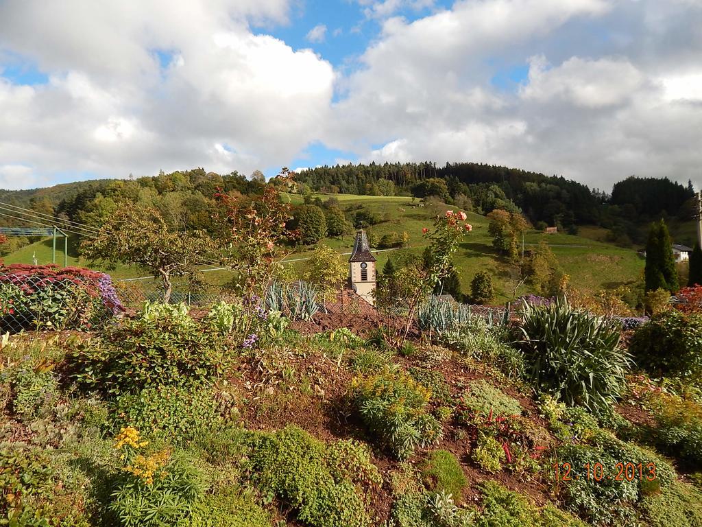 Haus Wiesental Kleines Wiesental Zewnętrze zdjęcie