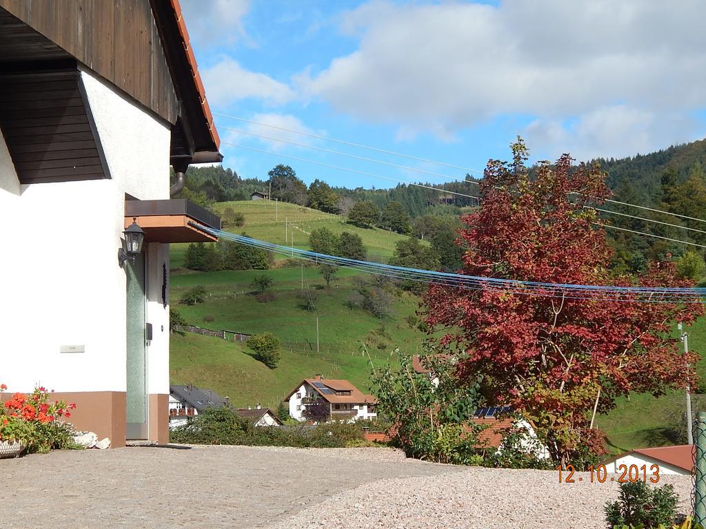 Haus Wiesental Kleines Wiesental Zewnętrze zdjęcie