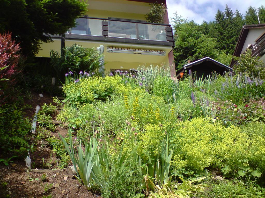 Haus Wiesental Kleines Wiesental Zewnętrze zdjęcie