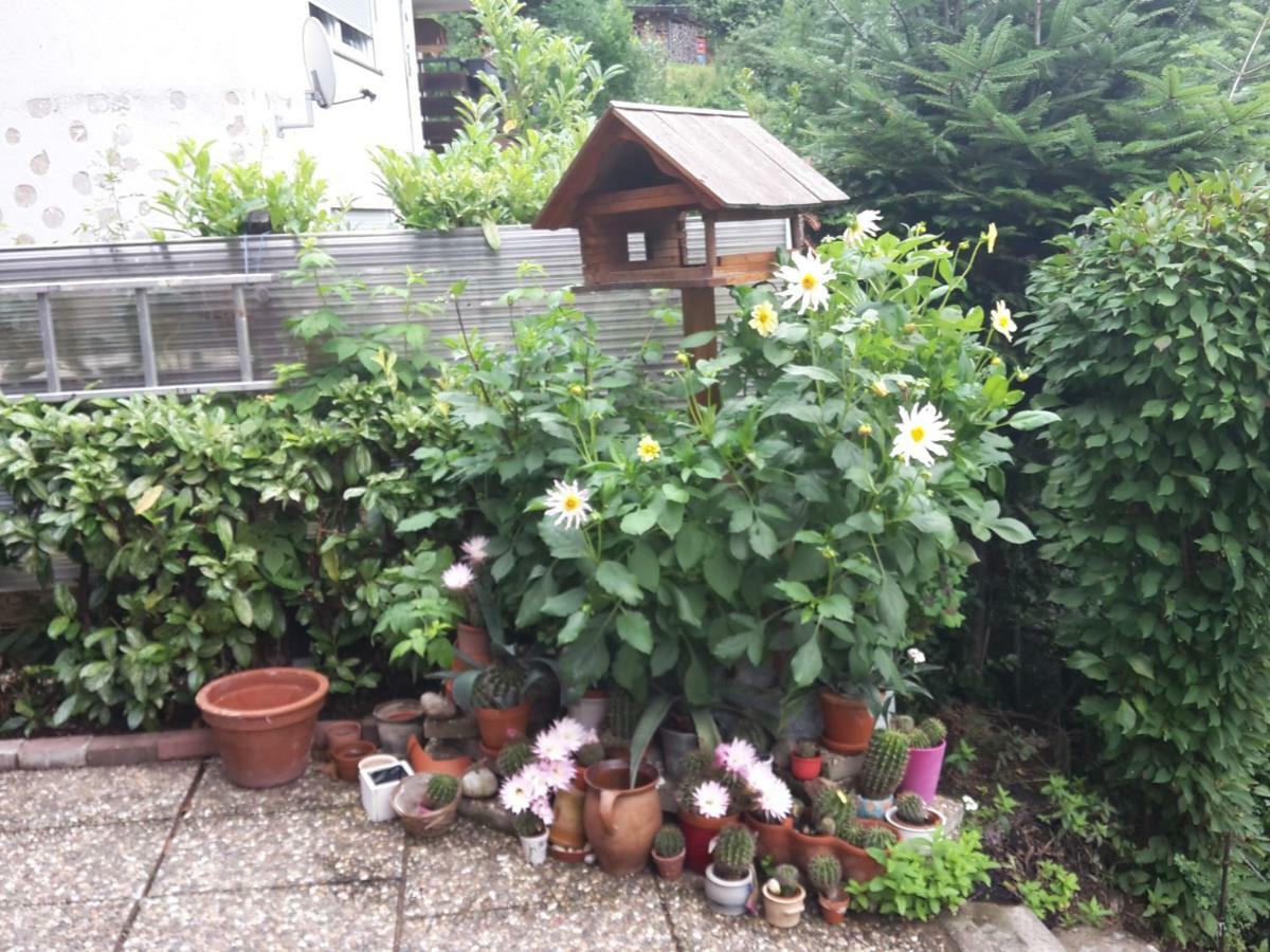 Haus Wiesental Kleines Wiesental Zewnętrze zdjęcie