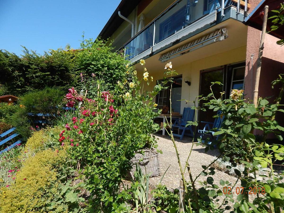 Haus Wiesental Kleines Wiesental Zewnętrze zdjęcie