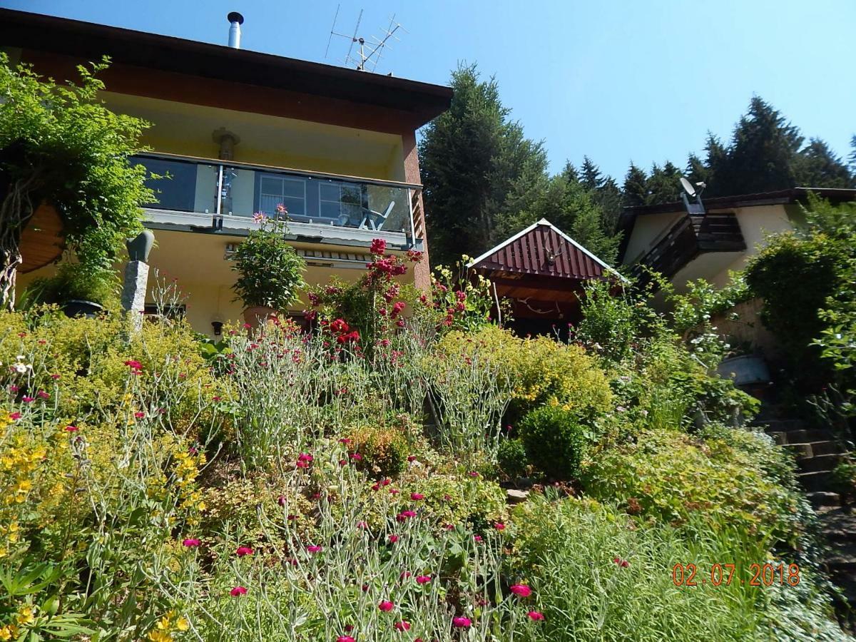 Haus Wiesental Kleines Wiesental Zewnętrze zdjęcie