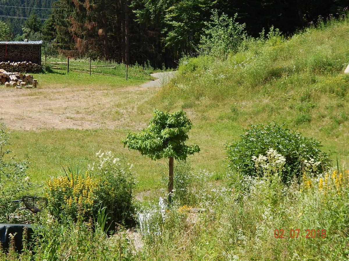 Haus Wiesental Kleines Wiesental Zewnętrze zdjęcie