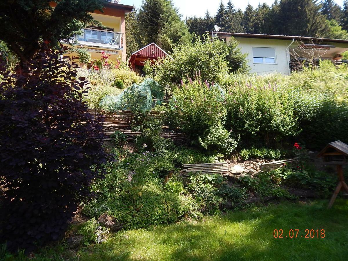 Haus Wiesental Kleines Wiesental Zewnętrze zdjęcie